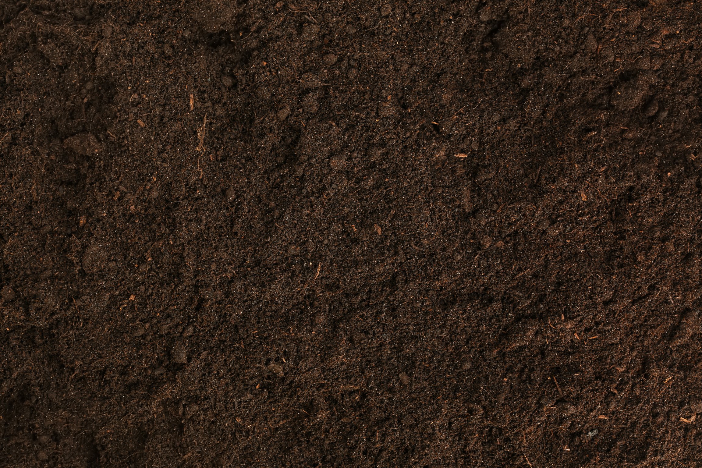 Soil Texture as Background